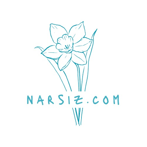 Narsiz — narsiz.com logosu